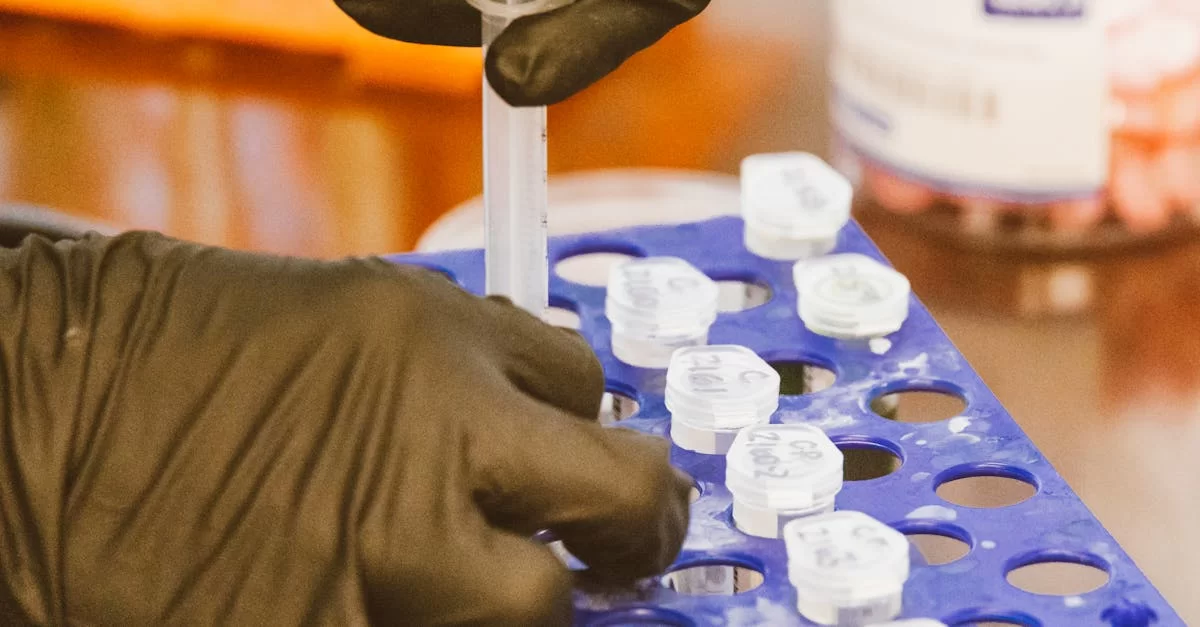 Fuzhou Chemical Export Agency: Why It's So Important?