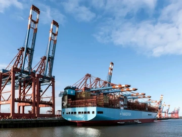 Which instrument import customs declaration agent is the best? I'll tell you!