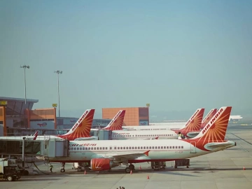 What are the main responsibilities of a foreign trade import and export agency?