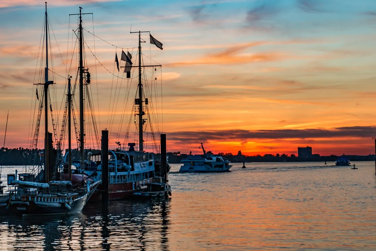 The Road to Reversal: From Being Returned to Instant Customs Clearance