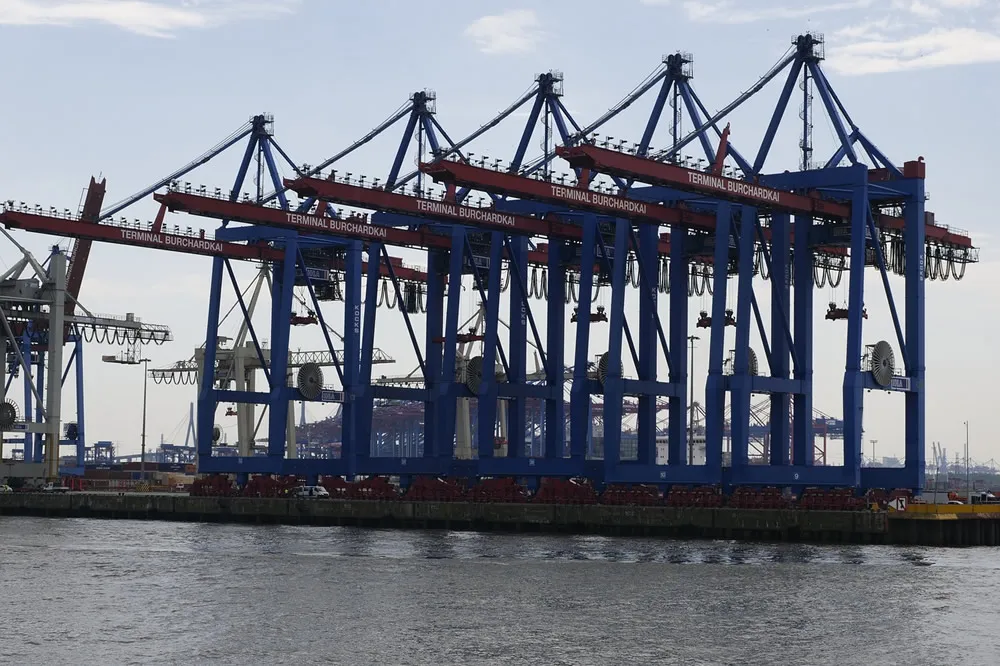 Applying for Import and Export Rights: Hidden Pitfalls You Need to Know!