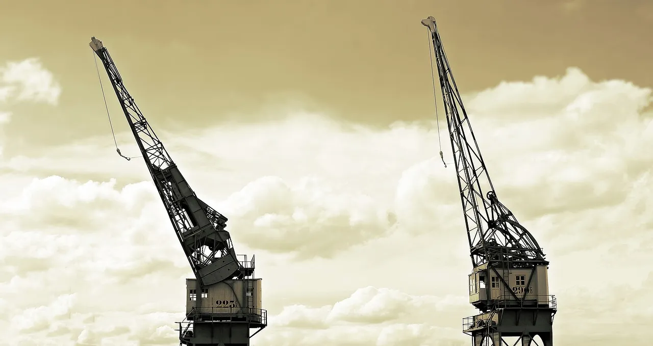 Why Are Import/Export Rights Considered the Most Valuable Business License in 2024?