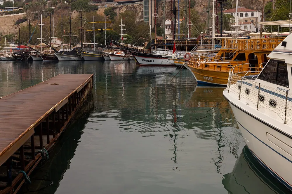 衝撃！機械代理輸入にはこんなにも多くの利点があったとは