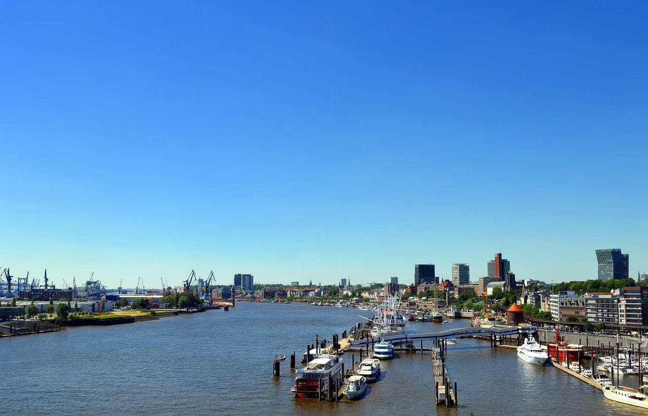 수입 대행 통관 기업, 당신은 정말 이해하고 있나요?