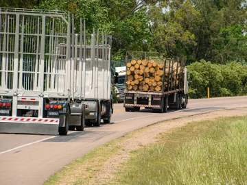 Qingdao Rotwein-Import, ein verstecktes Geschäftspotenzial von 10 Milliarden