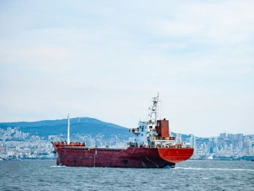 Vertretung für die Beantragung von Import-/Exportlizenzen? Hier finden Sie alles, was Sie wissen müssen!