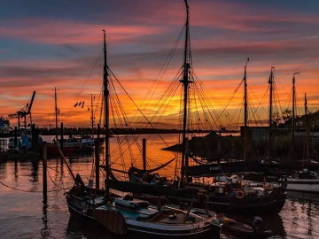 Export Collection Agency Has Such Magic, Guangzhou Enterprises Must See!