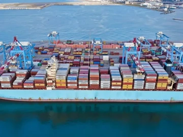 Mandataire pour la demande de licence d’import-export ? Tout ce que vous devez savoir est ici !