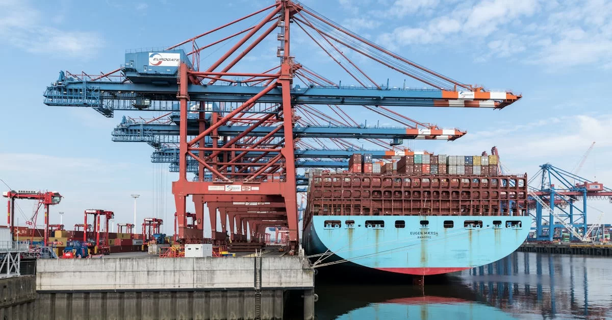 Importierte Rotweinvertretung in Shandong, kennen Sie diese Wege?