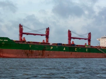 What problems should we pay attention to when looking for an agent to export by ourselves?