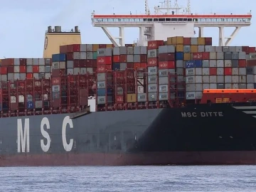 The Secrets of Rum Import Declaration You Don't Know