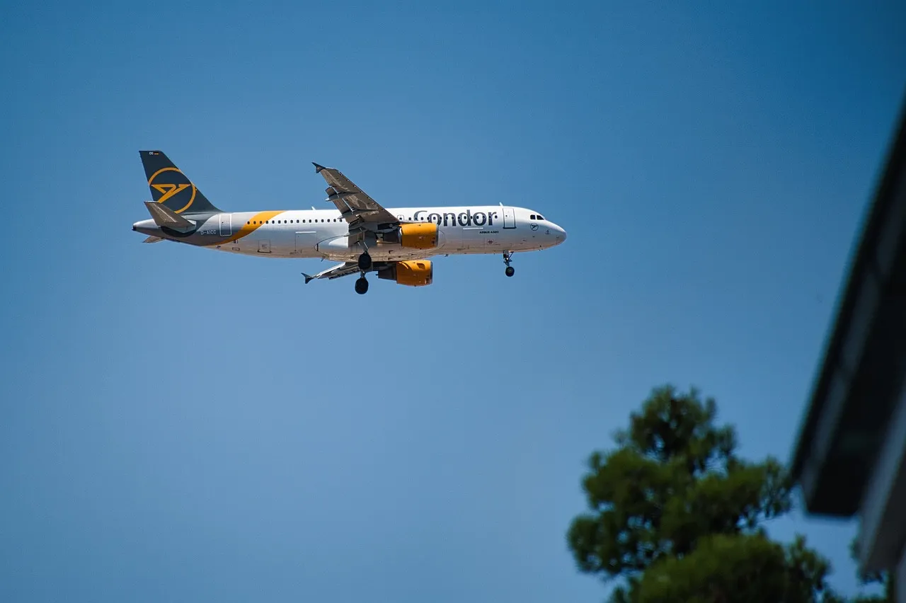 Ist die Vertretung kleiner Snacks eine Chance oder eine Herausforderung?