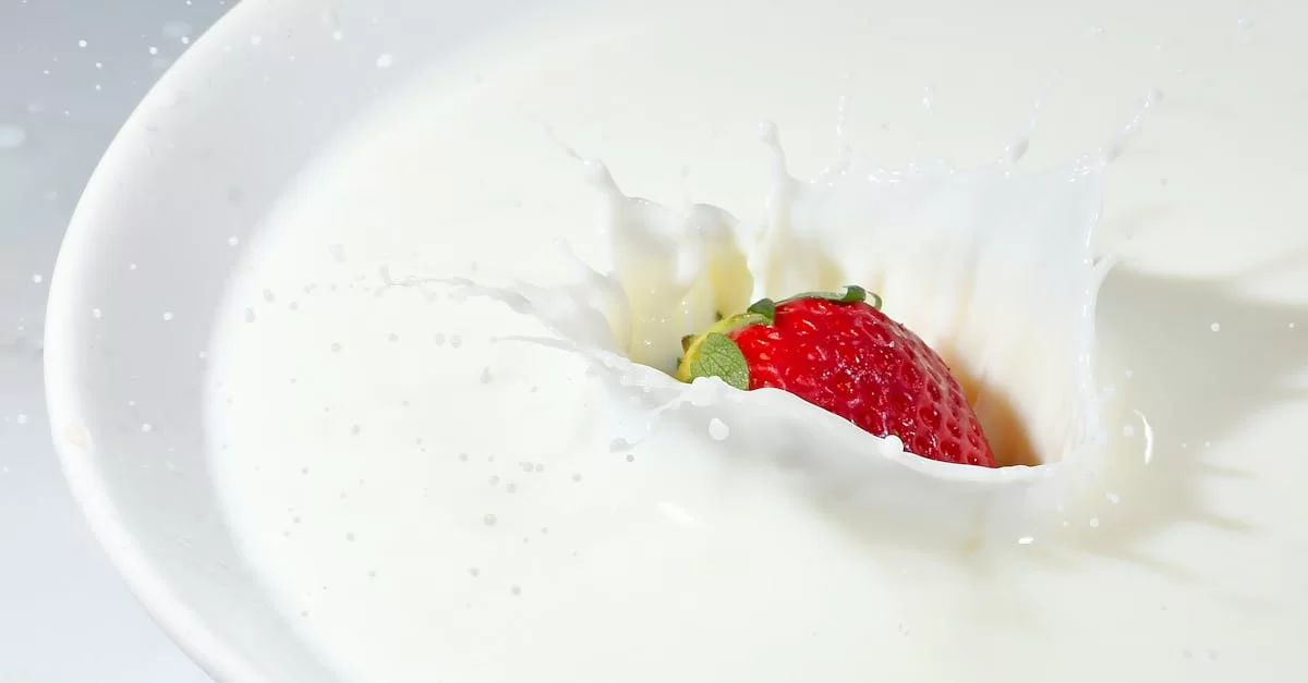 Import Seasoning Agency Companies, the mysterious promoters behind delicious food?