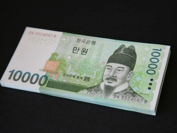 Import Payment Summaries Refunded? The Solution All Chongming District Enterprises Are Using