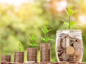 Fengxian District Import Payment Agent Fees, Have They Surprised You?