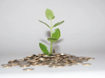 Baoshan District Import Payment Agent Fees: Are They Really What You Imagine?