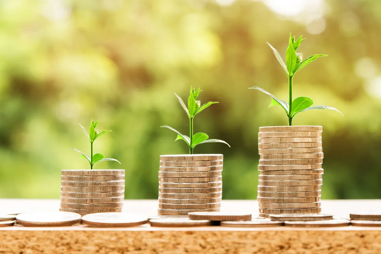 Export Agency Foreign Exchange Settlement, Do You Really Understand It?