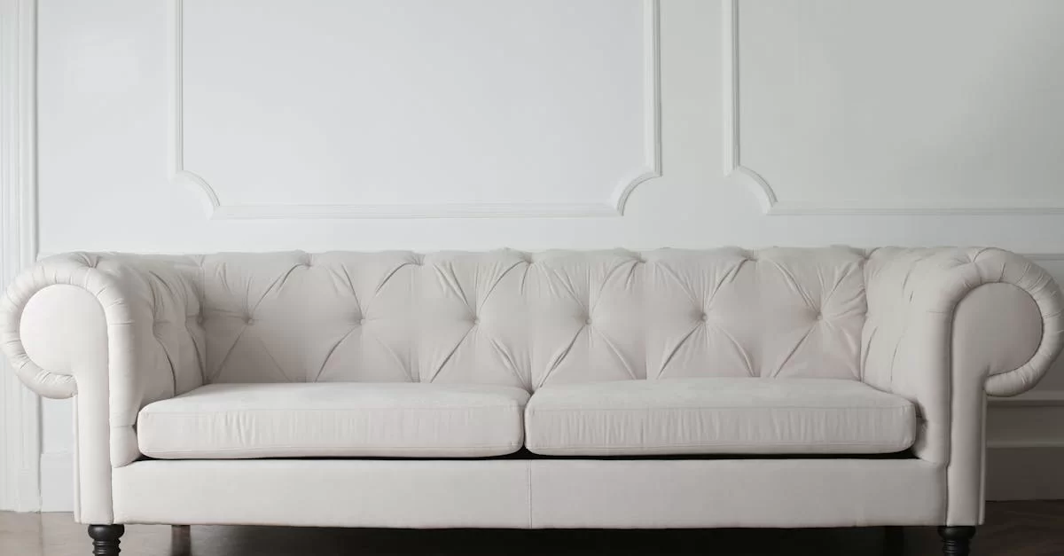 Imported Furniture Brand Agency: Hidden Concerns Behind the Seemingly Glamorous