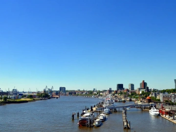 Uncovering the Dark Side of Import Agency