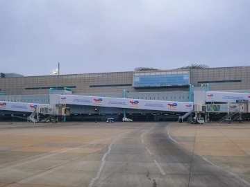 Freight Forwarding Services: Do You Truly Understand Them?