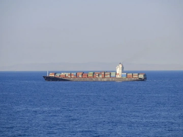 What are the duties of a foreign trade import and export agency?