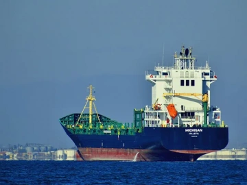 How "Scammy" Are Guangzhou Red Wine Import Inspection Agent Fees?