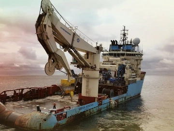 What are the duties of a foreign trade import and export agency?