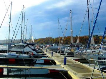 Shanghai Import and Export Agency: Your Global Trade Partner