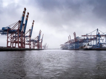 15 months after Brexit, UK food exports to EU fell 19%