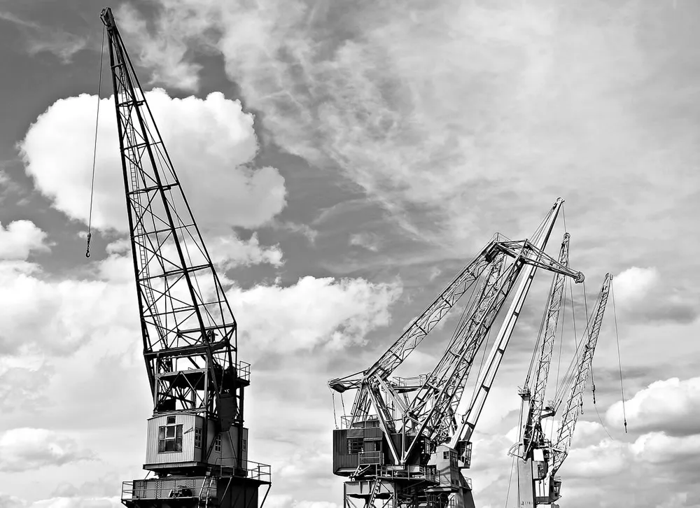 Jiangxi Agency Import Trade, Which is Greater, Opportunities or Challenges?