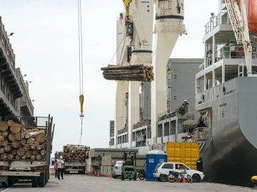 What are the advantages of import agency