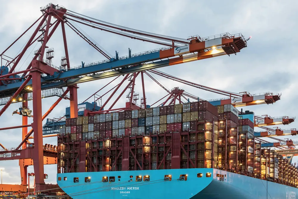 Fatal blind spots of Shanghai customs declaration agents