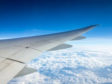 Import von Immunreagenzien-Agenturen: Ein Kuchen oder eine Falle?