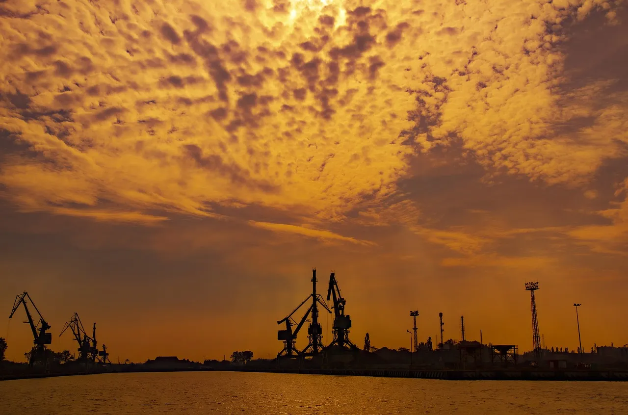 Revelación divertida: Cosas sobre los agentes de software de importación para comercio exterior en Hunan