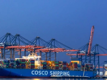 Doing Red Wine Agency, Why Does This Shandong Company Stand Out?