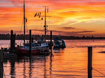 Export Tax Rebate Documentation Unveiled