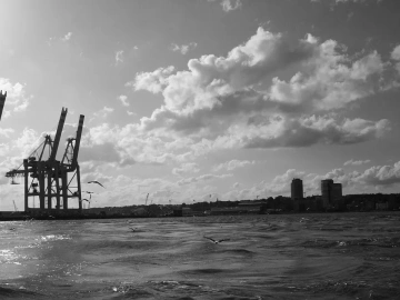 What are the advantages of import agency