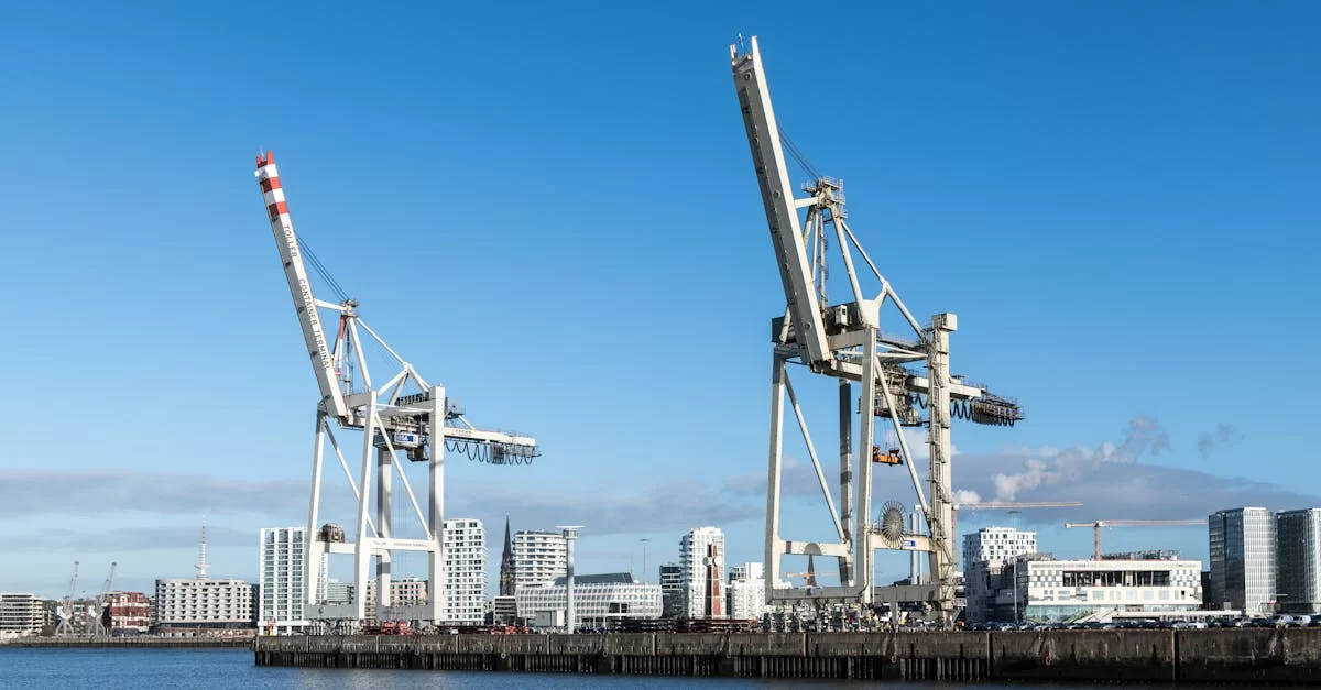 Must-read for SMEs: secrets to saving money on import and export agency services