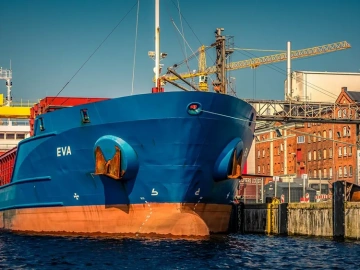 What are the duties of a foreign trade import and export agency?