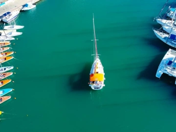 Shocking! There are so many intricacies in the import tariffs for daily chemical products.