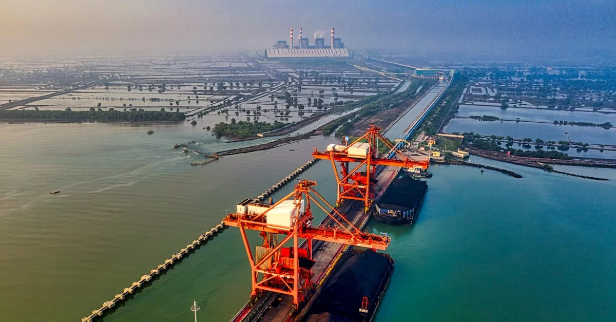 ¡Deja de perder el tiempo! La importancia de los agentes de importación en Dongguan