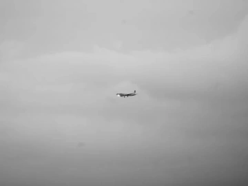 Zhuhai Export Agency Companies: A Grand Reveal, This One is So Powerful!