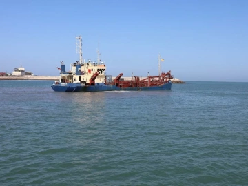 Uncovering the Dark Side of Import Agency