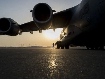 Import and Export License Application Agency? Here's Everything You Need to Know!