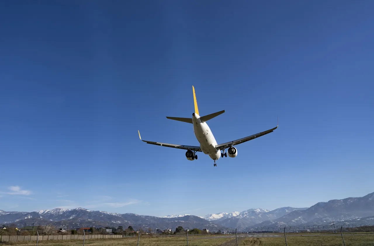 驚き！貨物代理通関にはこんなにも奥深い世界があった