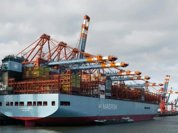 Erstaunlich! Es gibt solche Tricks für den Export von Gelben Mehlwürmern aus Qingdao!