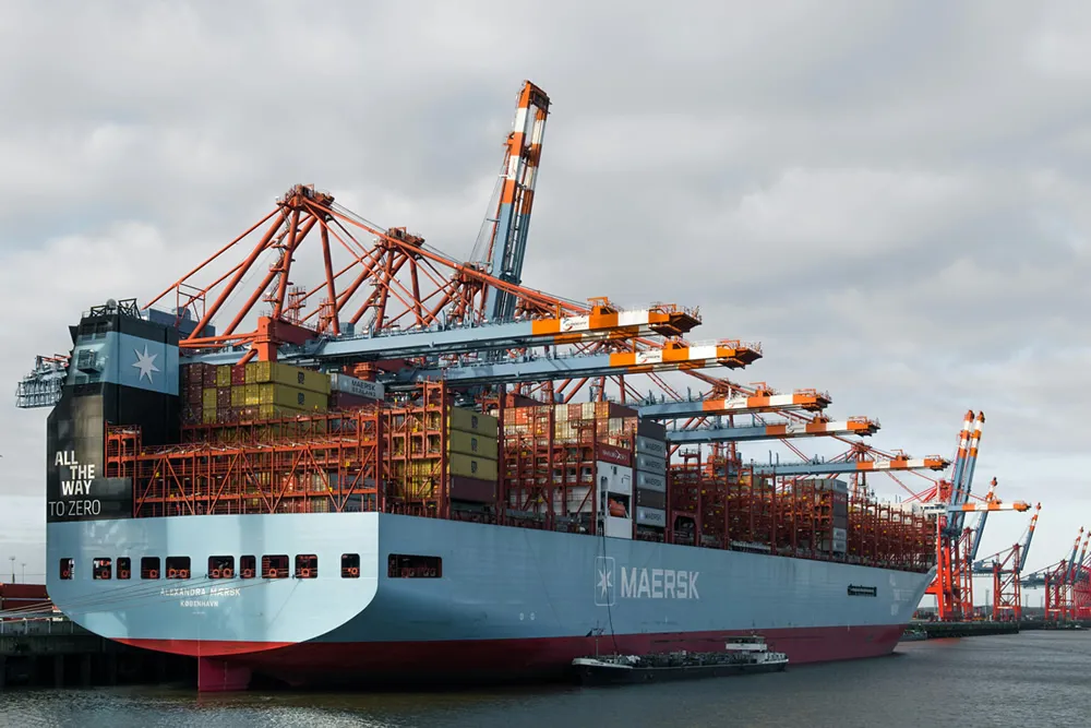 Libro blanco sobre el riesgo de la importación de cosméticos a través de agentes en toda la cadena