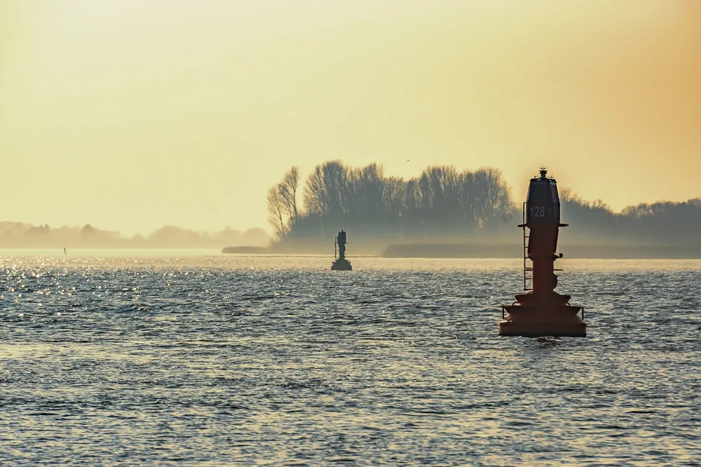 香港輸入代理通関、企業が飛躍するのをどう支援する？