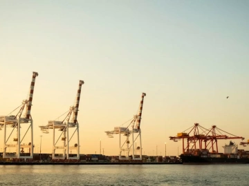 Agency Import Candies, Can You Make Money Just Lying Down?