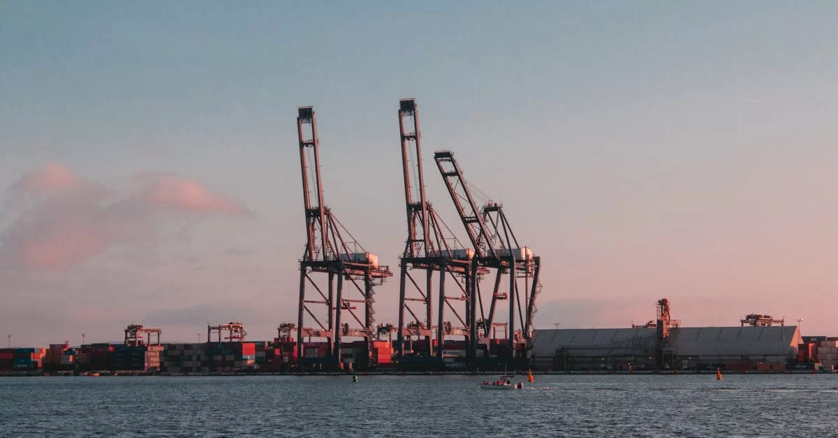 Devenir agent de petits snacks ? C’est un véritable code de richesse !